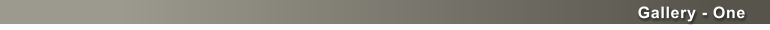 Gallery - One