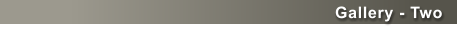 Gallery - Two